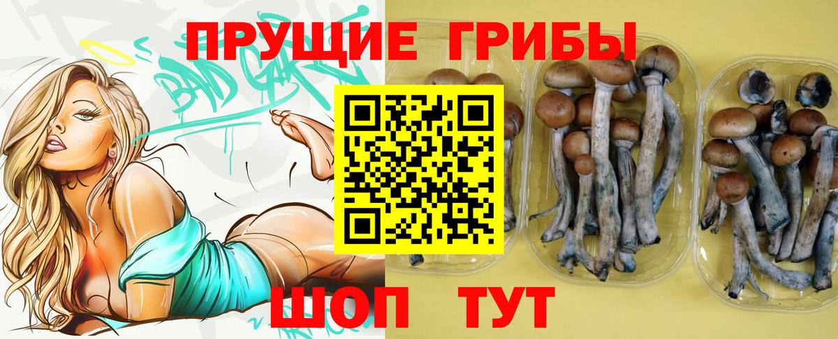 Галлюциногенные грибы ЛСД  Вход с VPN  Касимов 